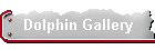 Dolphin Gallery